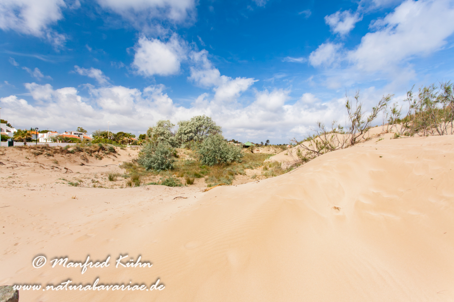 Ebrodelta (Spanien)_0128