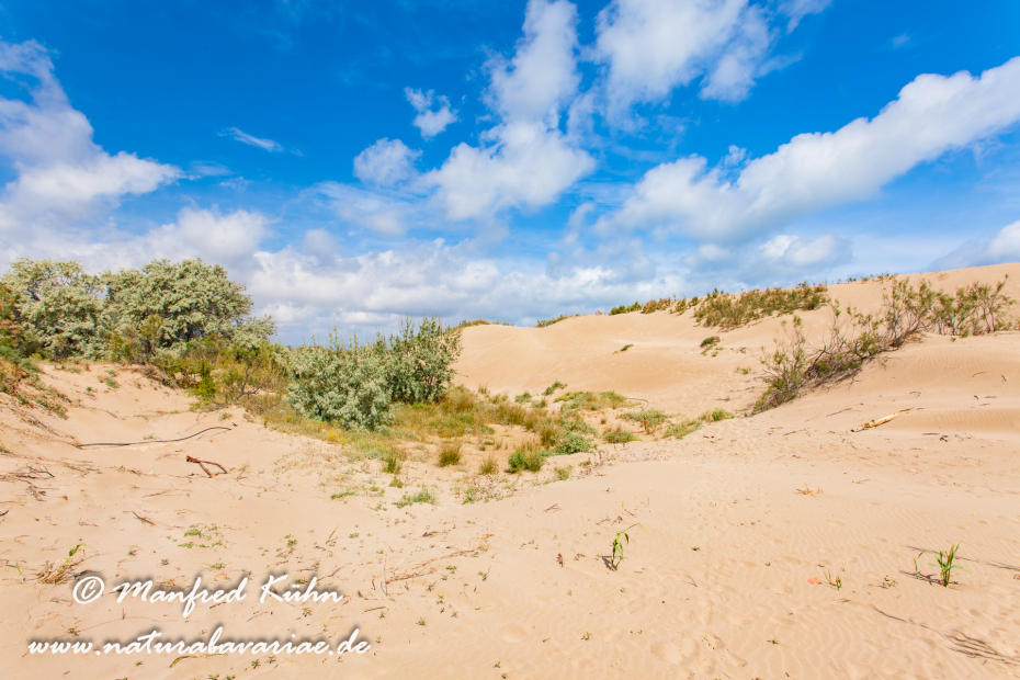 Ebrodelta (Spanien)_0129