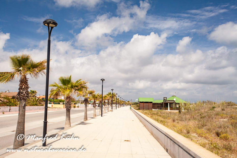 Ebrodelta (Spanien)_0130