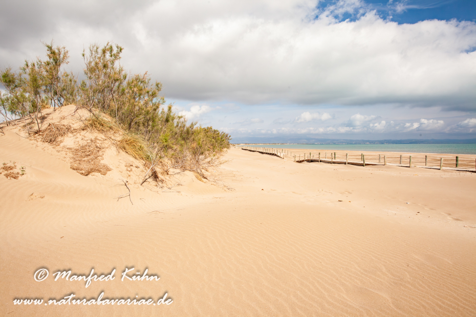 Ebrodelta (Spanien)_0132