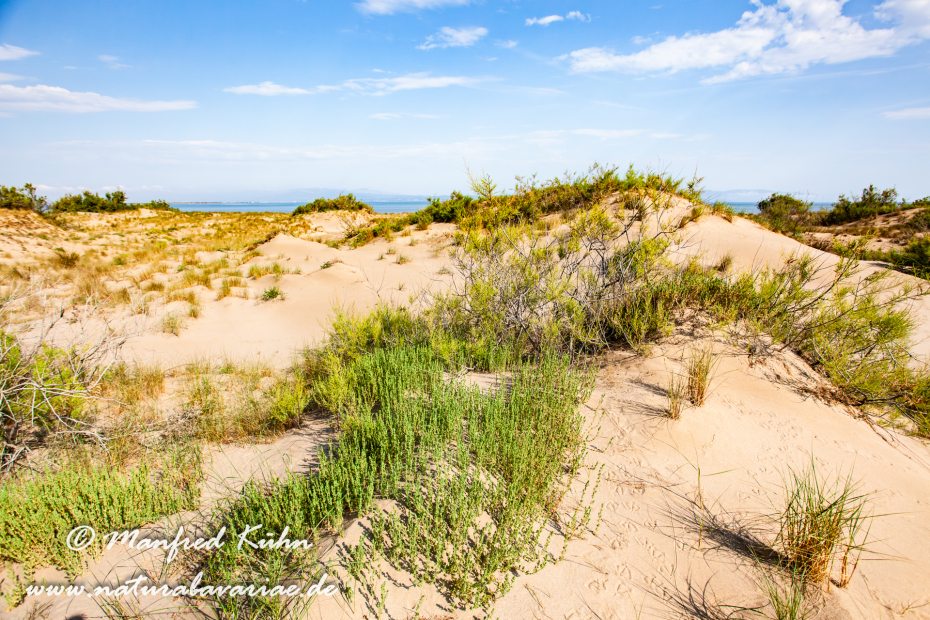Ebrodelta (Spanien)_0134