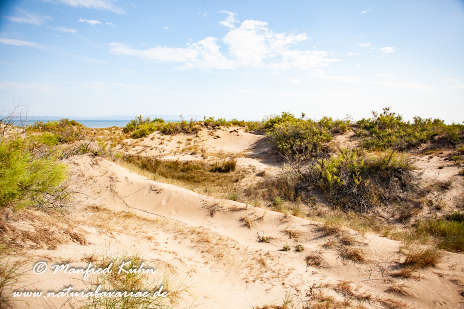 Ebrodelta (Spanien)_0135
