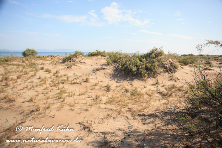 Ebrodelta (Spanien)_0136
