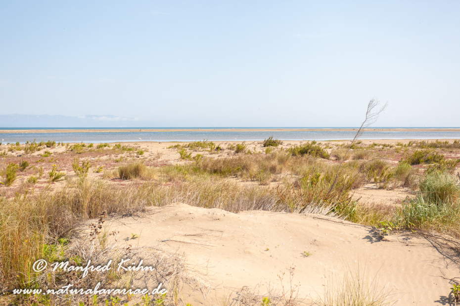 Ebrodelta (Spanien)_0138