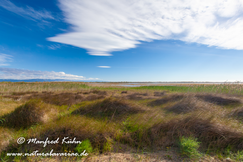 Ebrodelta (Spanien)_0139