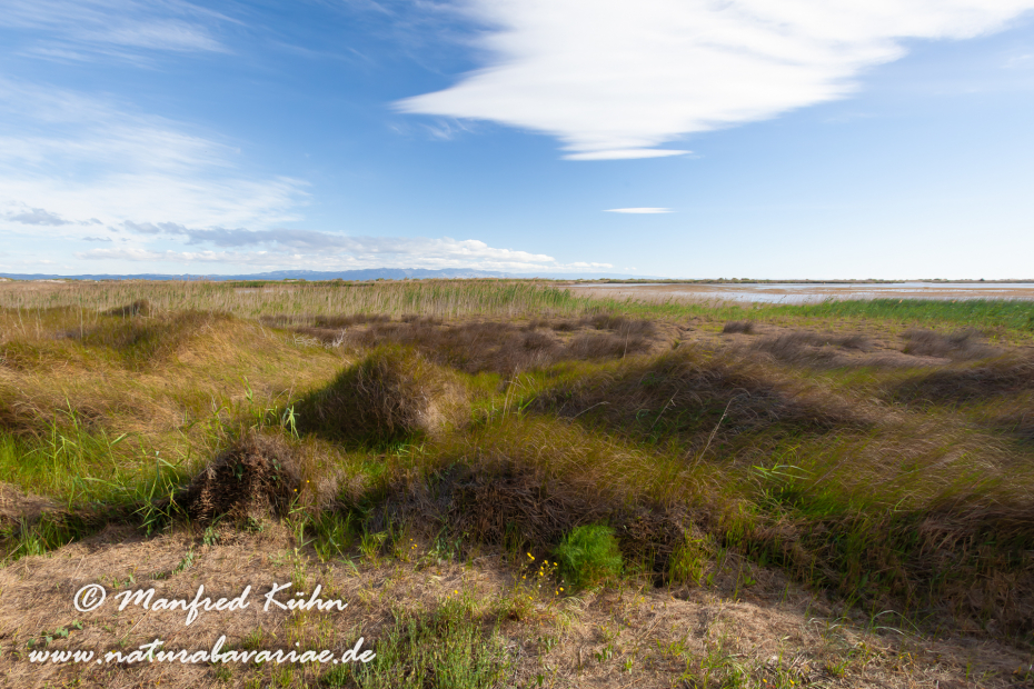 Ebrodelta (Spanien)_0140