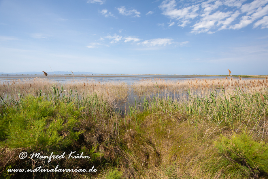 Ebrodelta (Spanien)_0141