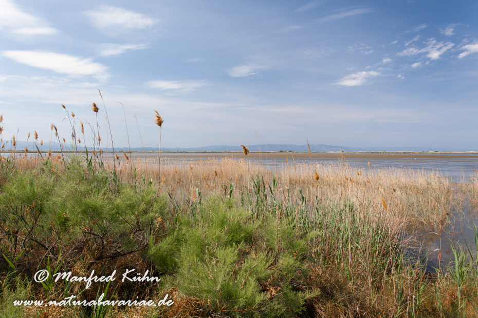 Ebrodelta (Spanien)_0143
