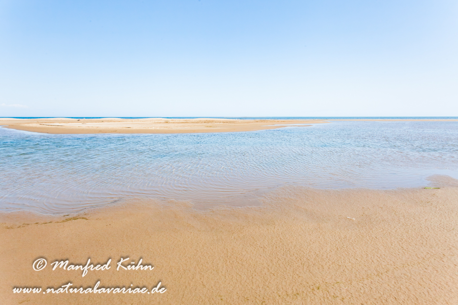Ebrodelta (Spanien)_0144