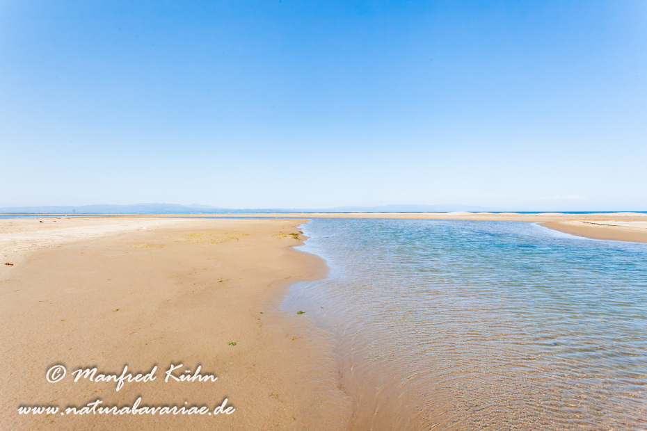Ebrodelta (Spanien)_0145