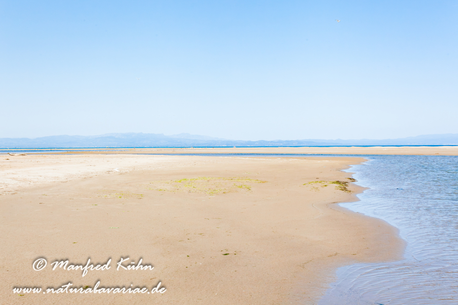 Ebrodelta (Spanien)_0146