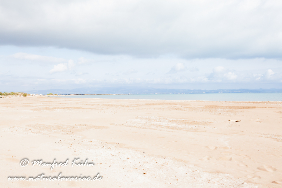 Ebrodelta (Spanien)_0147