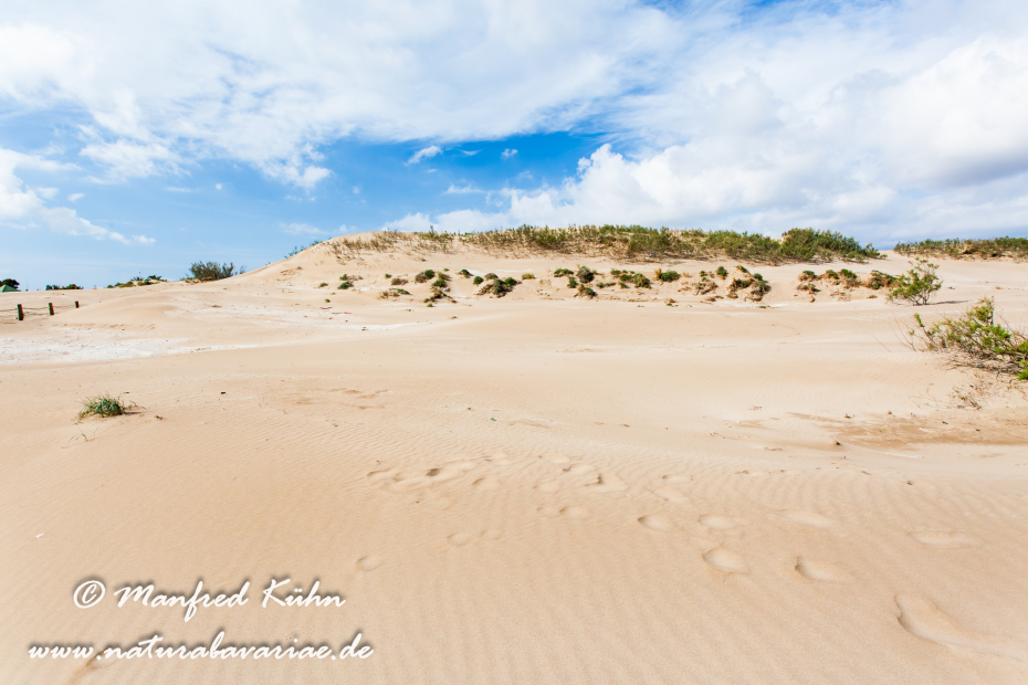 Ebrodelta (Spanien)_0148