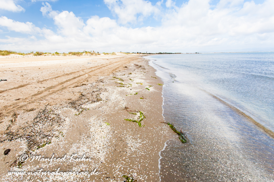 Ebrodelta (Spanien)_0149