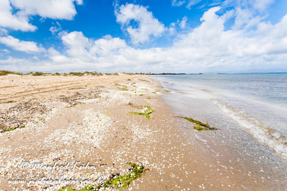 Ebrodelta (Spanien)_0150