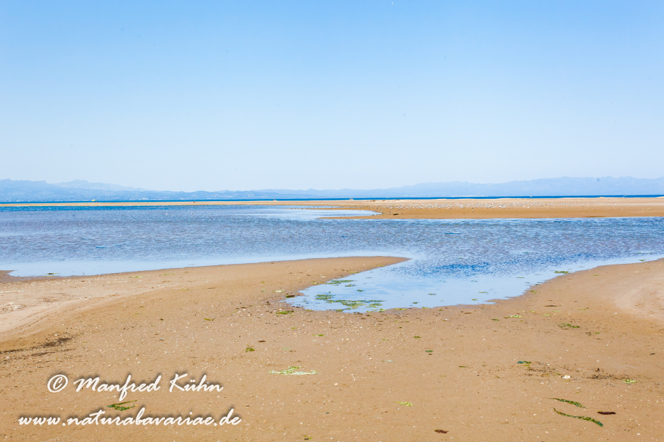 Ebrodelta (Spanien)_0151