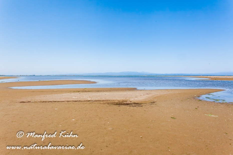 Ebrodelta (Spanien)_0153