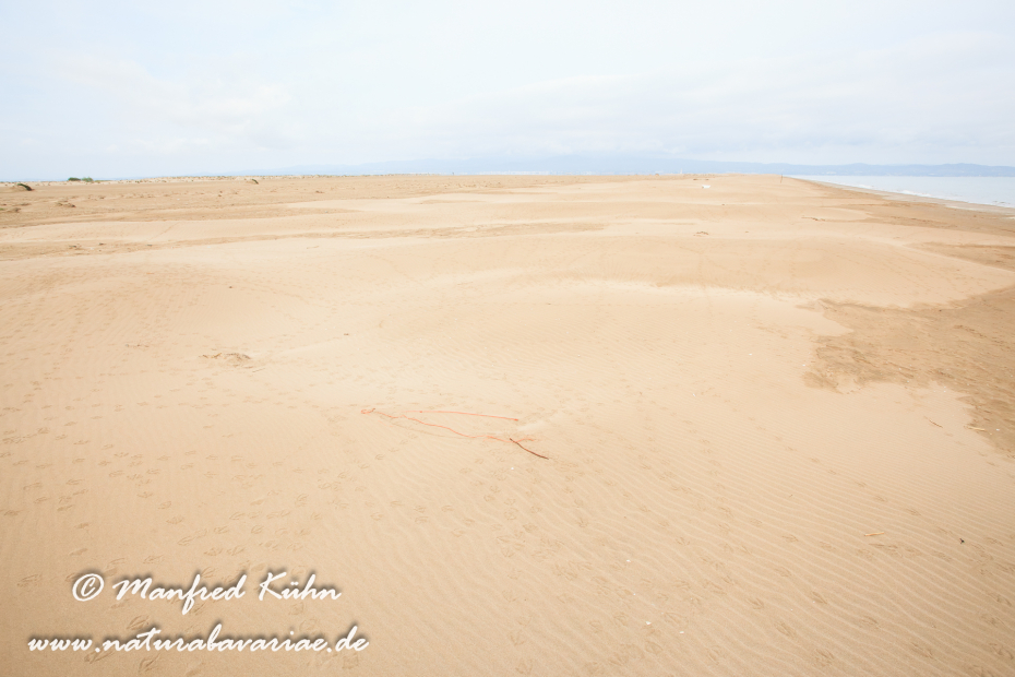 Ebrodelta (Spanien)_0158