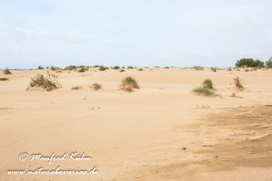 Ebrodelta (Spanien)_0160