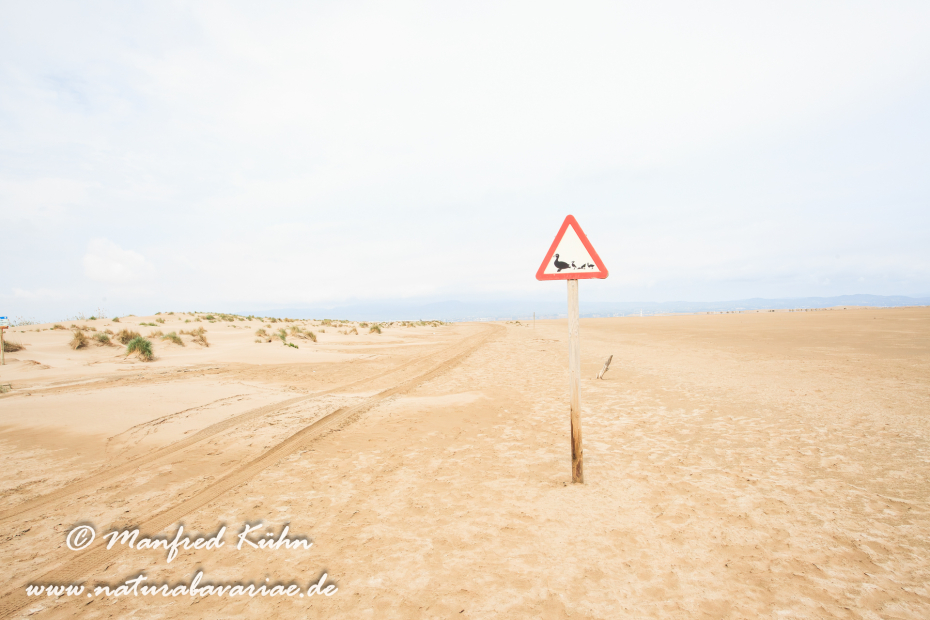 Ebrodelta (Spanien)_0161