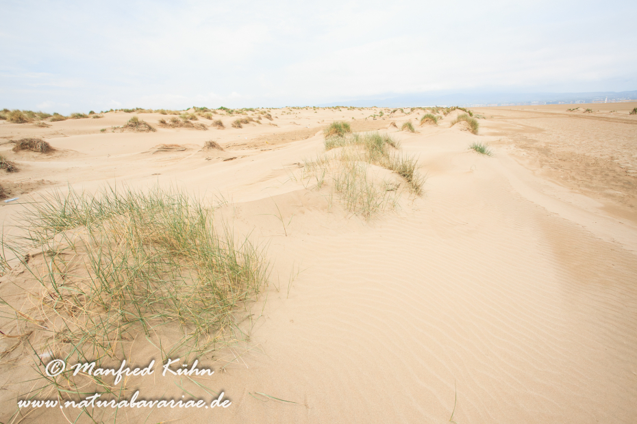 Ebrodelta (Spanien)_0162