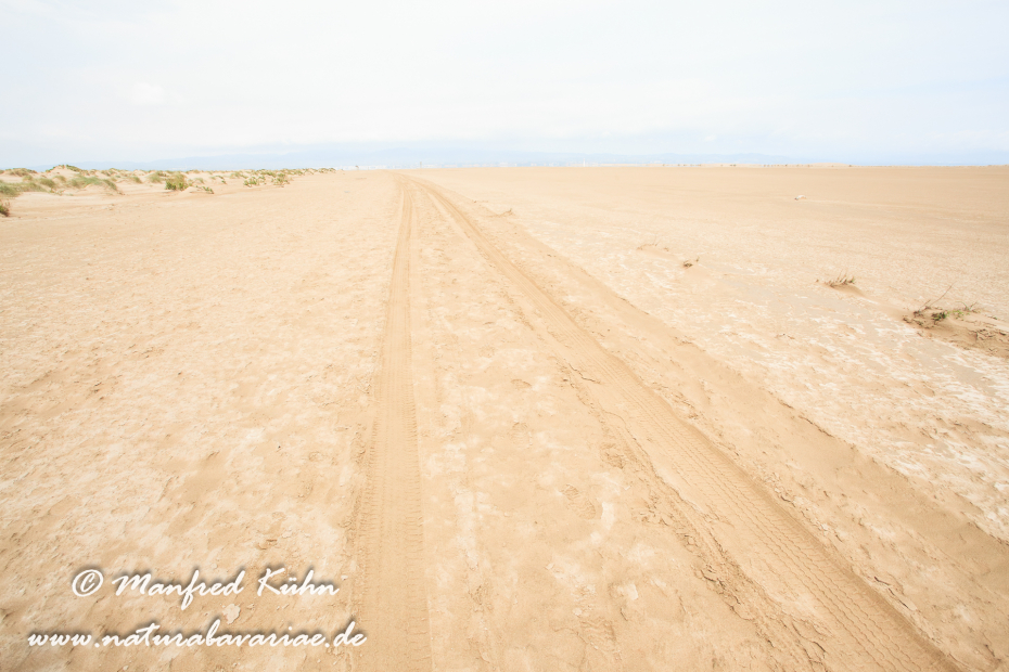 Ebrodelta (Spanien)_0164