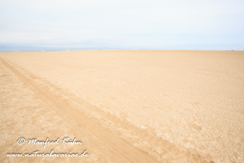 Ebrodelta (Spanien)_0165