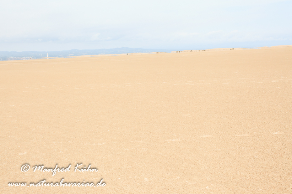 Ebrodelta (Spanien)_0171