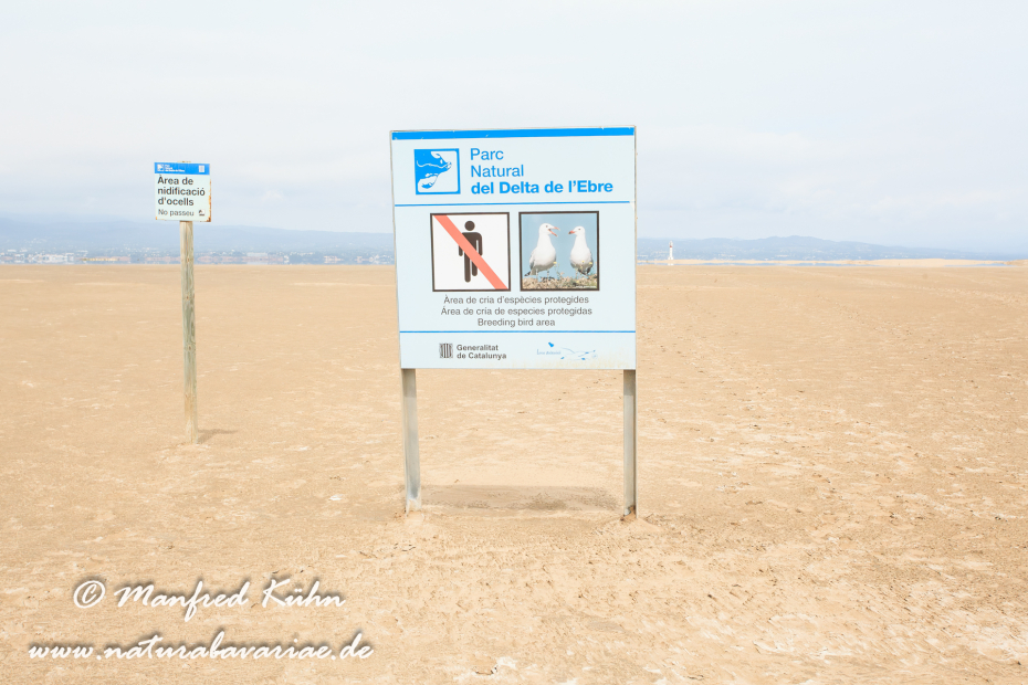 Ebrodelta (Spanien)_0172