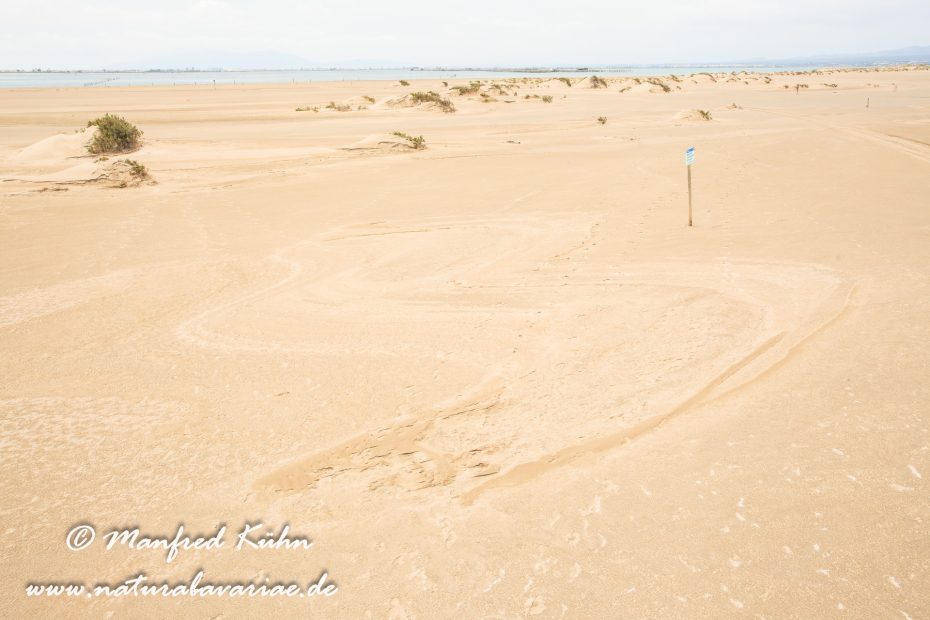 Ebrodelta (Spanien)_0173