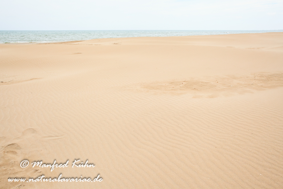 Ebrodelta (Spanien)_0175