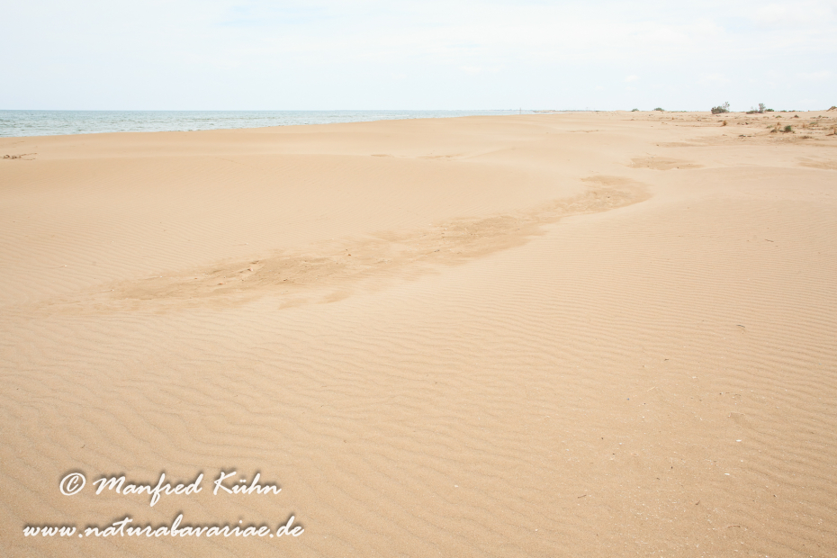 Ebrodelta (Spanien)_0176