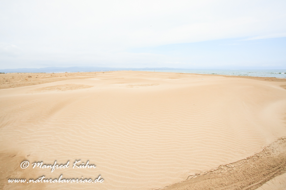 Ebrodelta (Spanien)_0177