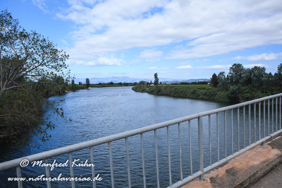 Ebrodelta (Spanien)_0183