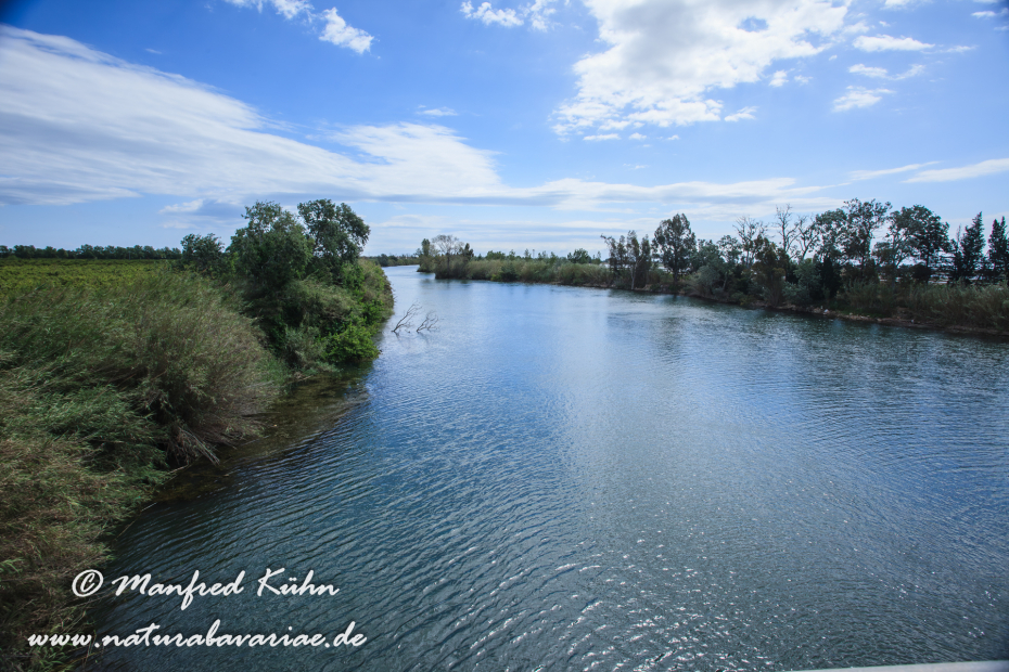 Ebrodelta (Spanien)_0185