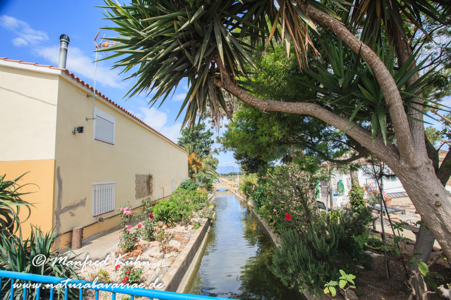 Ebrodelta (Spanien)_0188