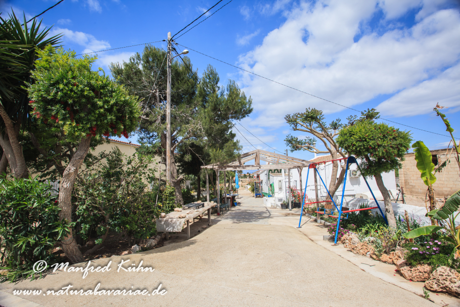 Ebrodelta (Spanien)_0189
