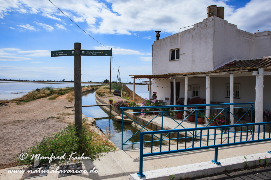 Ebrodelta (Spanien)_0190