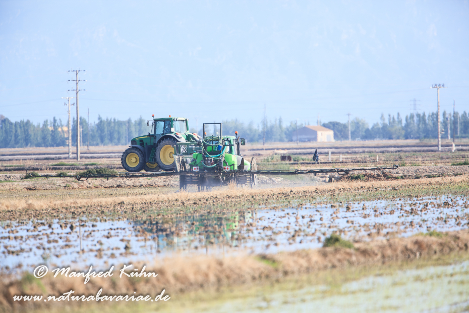 Ebrodelta (Spanien)_0191