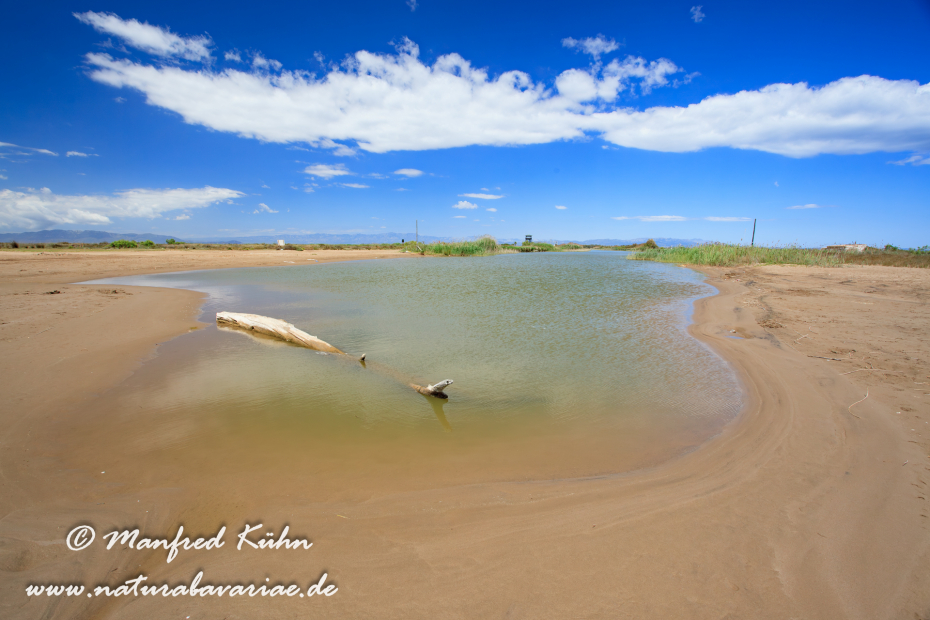Ebrodelta (Spanien)_0197