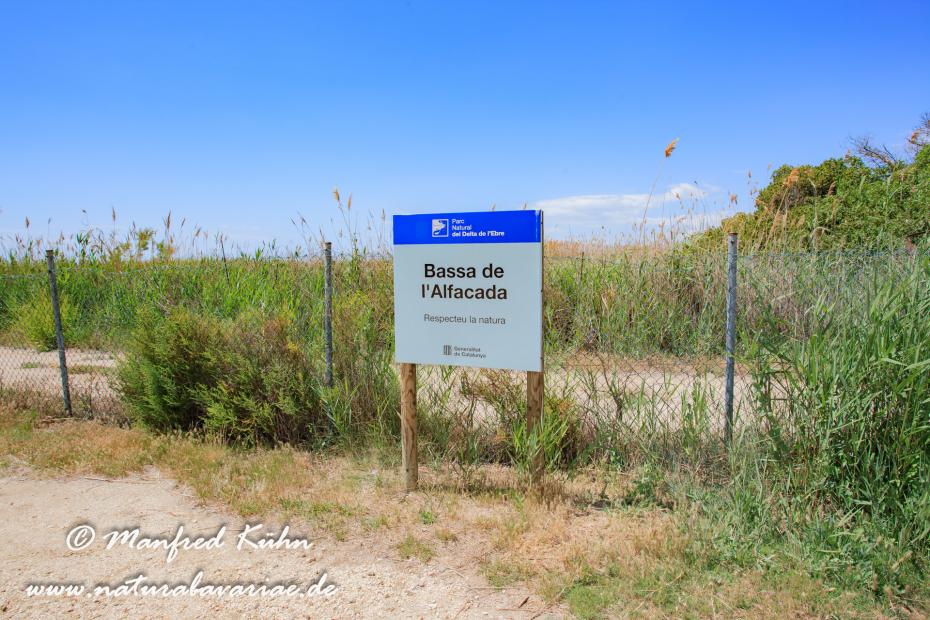 Ebrodelta (Spanien)_0200