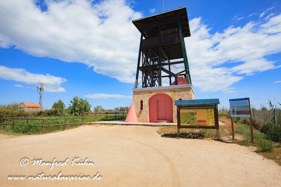 Ebrodelta (Spanien)_0201