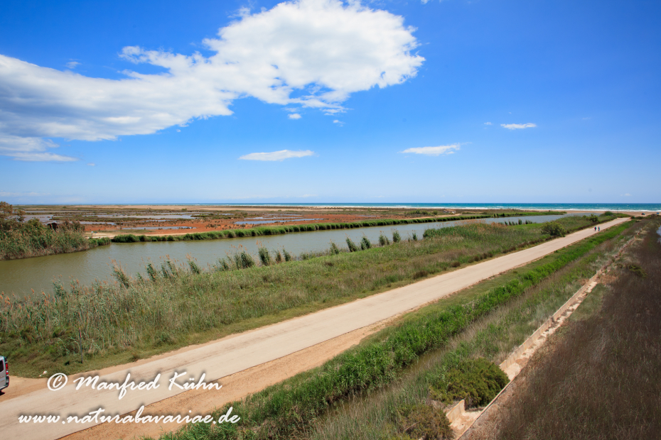 Ebrodelta (Spanien)_0203