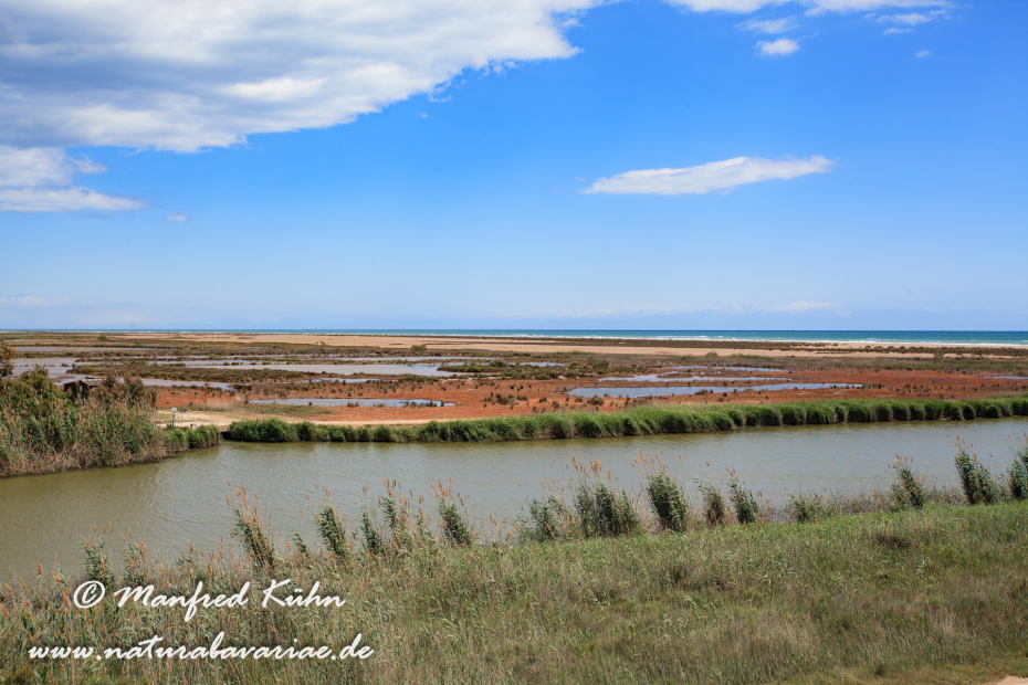Ebrodelta (Spanien)_0204