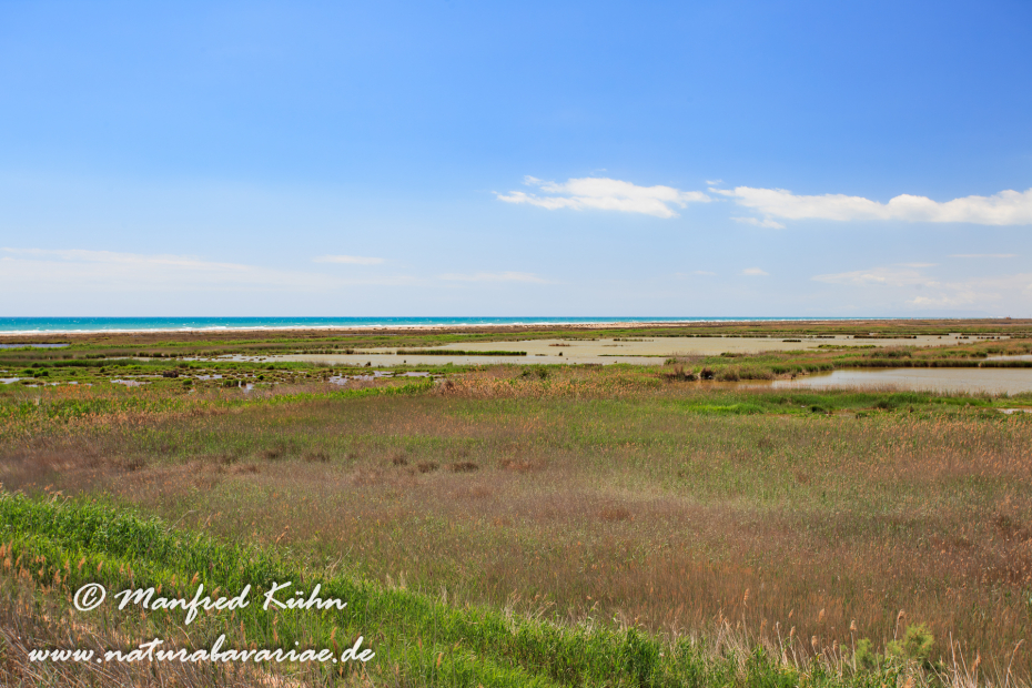 Ebrodelta (Spanien)_0205