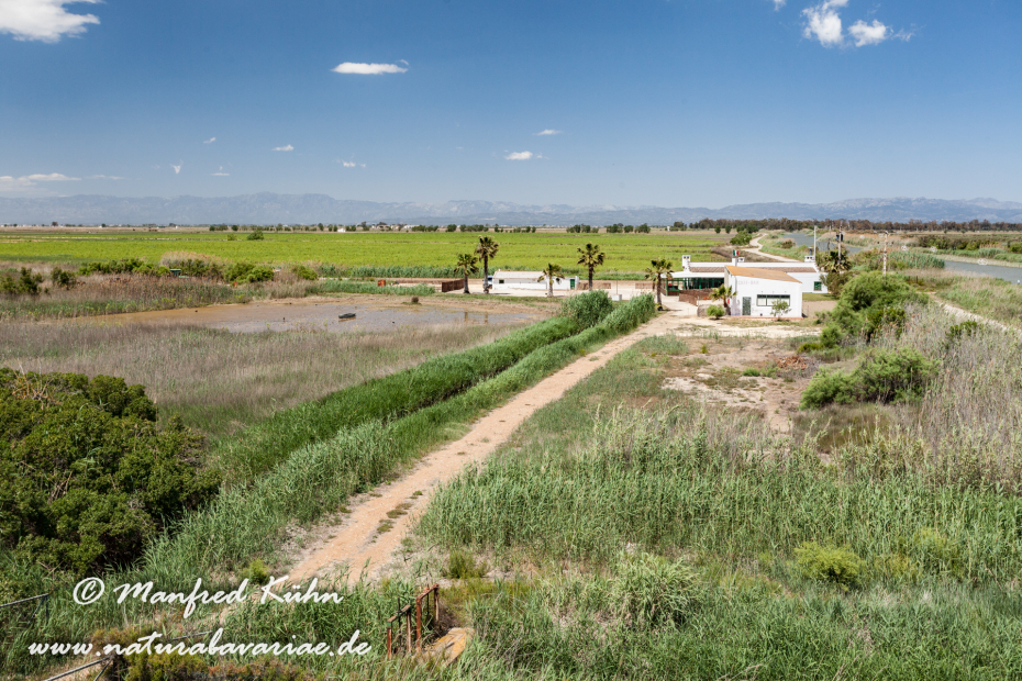 Ebrodelta (Spanien)_0206