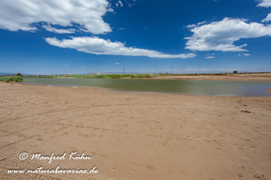 Ebrodelta (Spanien)_0208