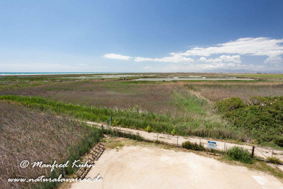 Ebrodelta (Spanien)_0209