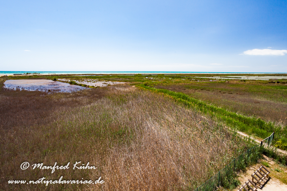 Ebrodelta (Spanien)_0210