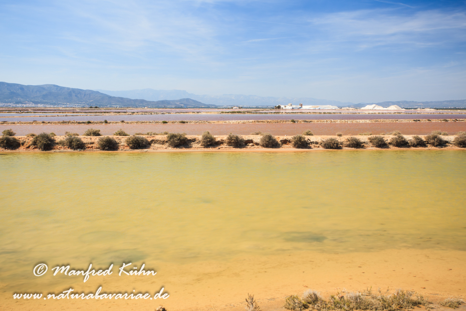 Ebrodelta (Spanien)_0213